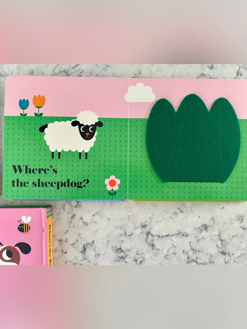 Interactive Lift-the-Flap Board Books : Set of 5
